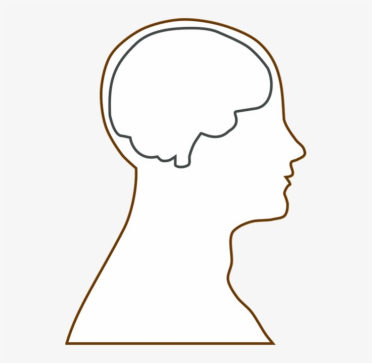 the silhouette of a person's head with an outline of their brain in brown and white