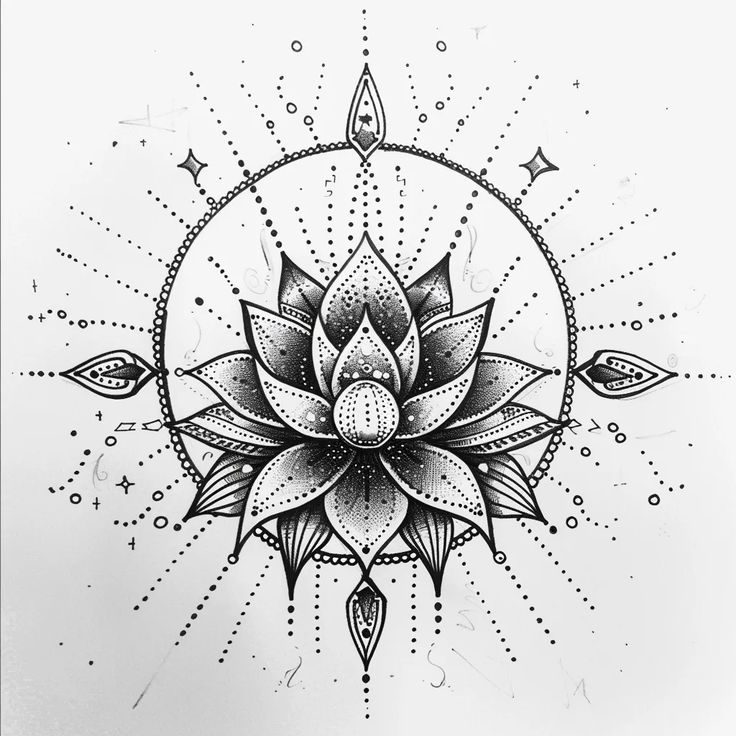 a black and white drawing of a lotus flower with stars on it's petals