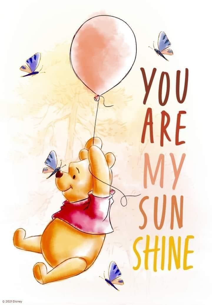 a winnie the pooh bear holding a balloon with butterflies flying around it that says, you are my sun shine