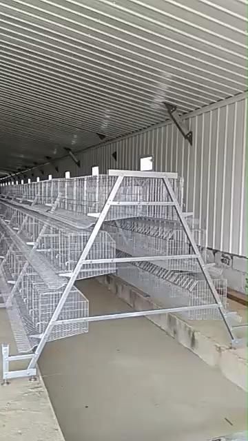 an animal cage in the middle of a building