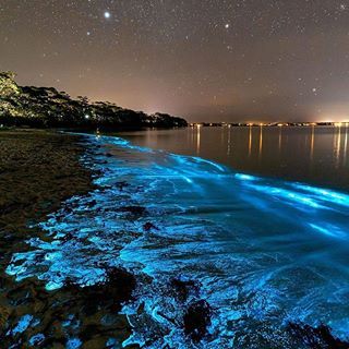 the night sky is lit up with bright blue lights and stars above the water's surface