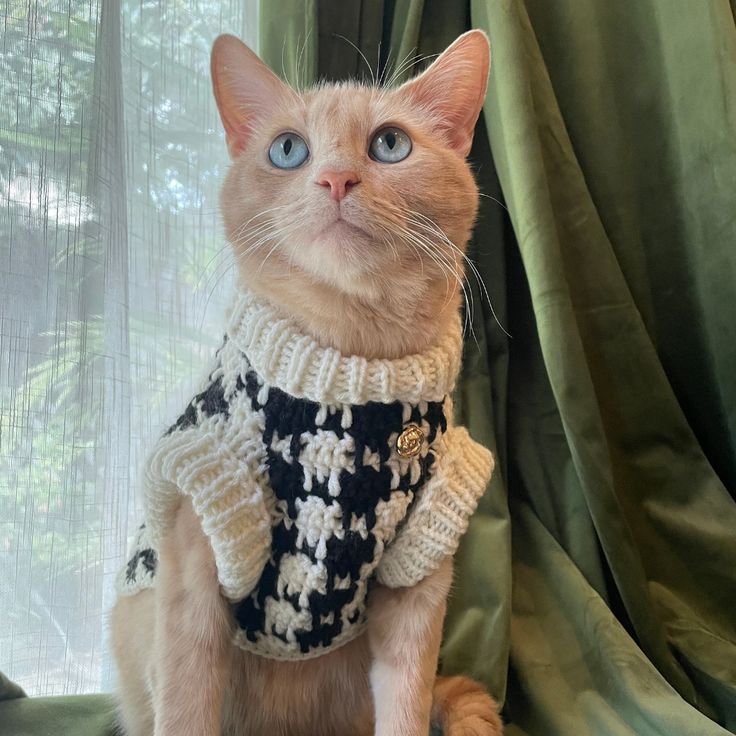 a cat sitting on top of a bed wearing a sweater