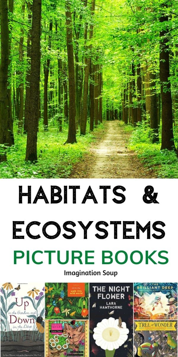 the cover of habitats and ecosytems picture books, with trees in the background