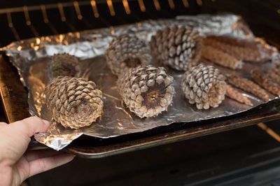 a person is taking some pine cones out of the oven to cook them for dinner