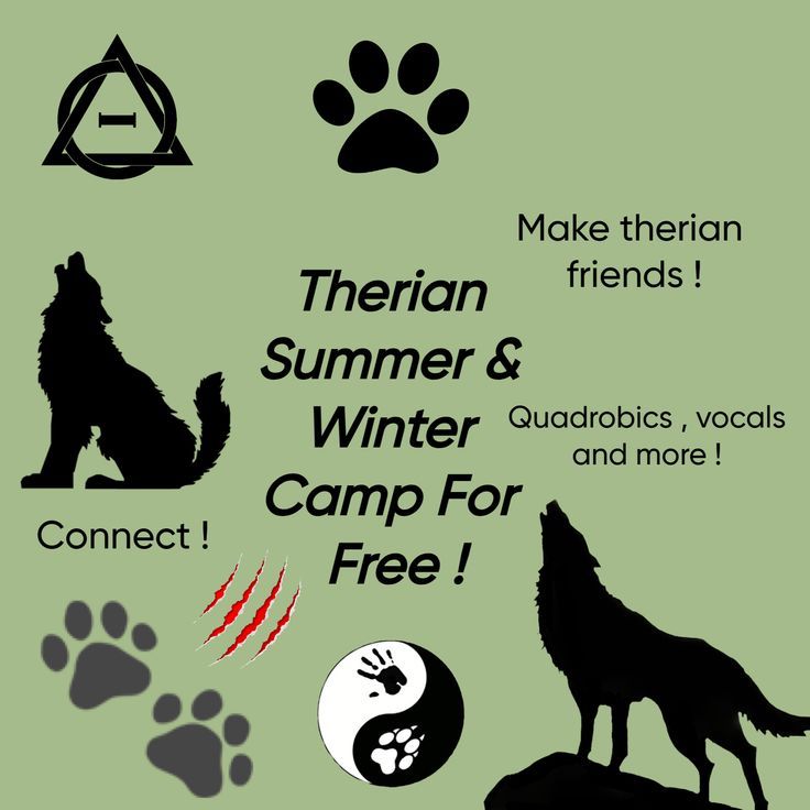 an advertisement for the american summer and winter camp for free, with wolf silhouettes