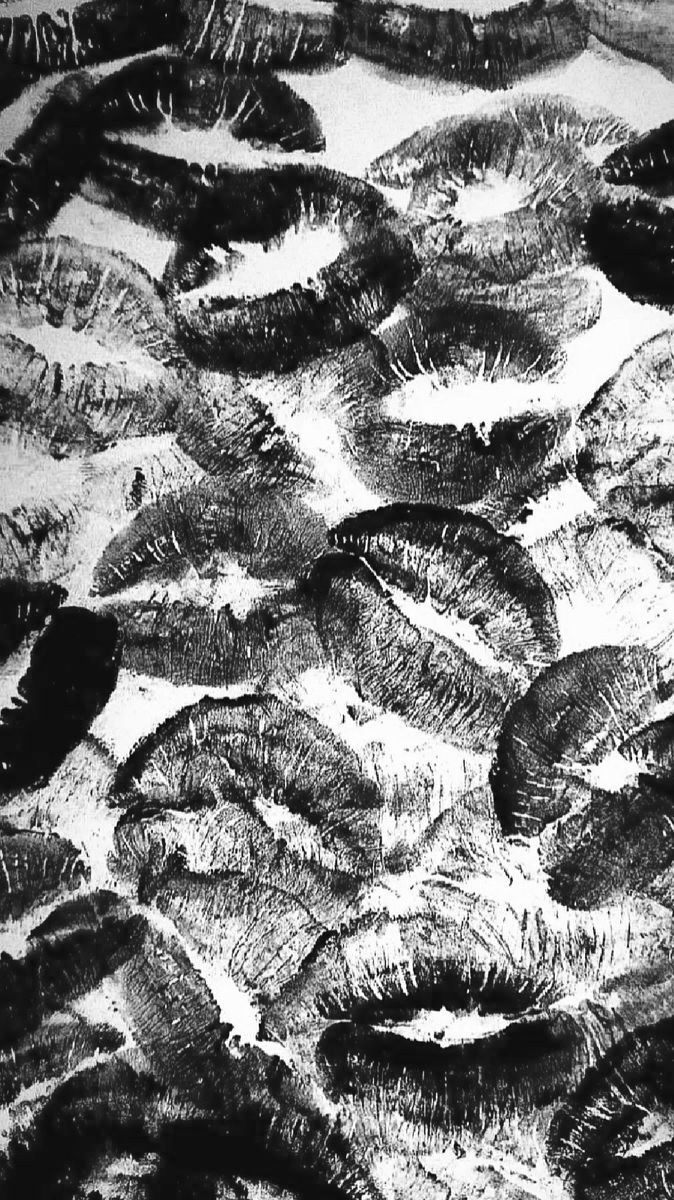 black and white photograph of many different types of fish's fins in the water