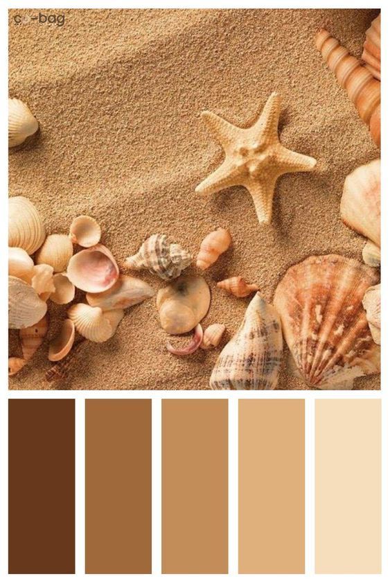 the color palette is brown and has shells on it