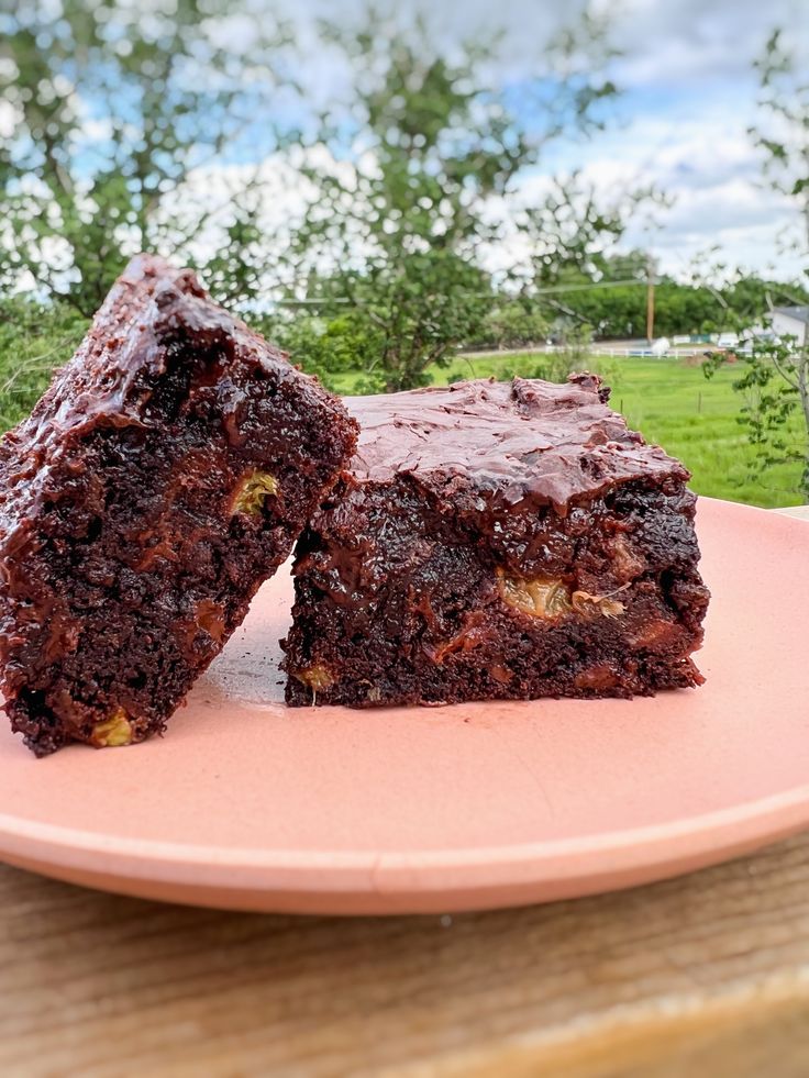 two pieces of chocolate brownie on a pink plate with trees in the back ground