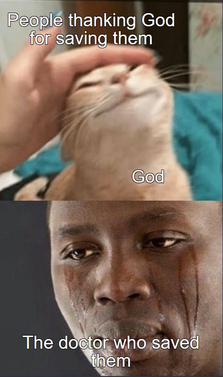 a cat that is sitting on top of another cat's head with the caption, people thinking god for saving them