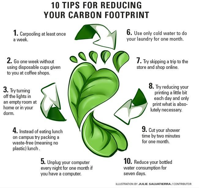 an info sheet describing how to reduce carbon footprints