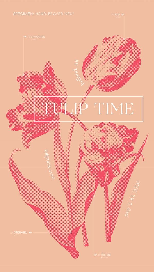 a pink poster with tulip time on it