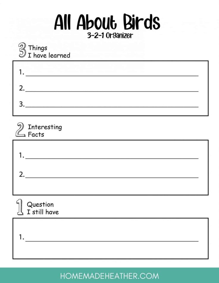 an all about birds worksheet with the text, 3 things i have learned