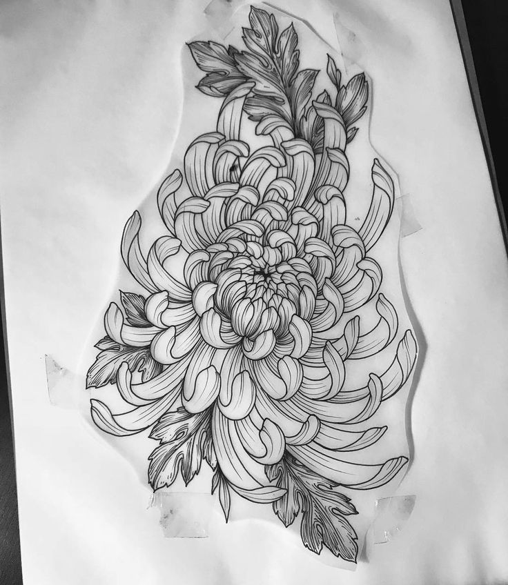 a black and white drawing of a flower with leaves on the bottom half of it