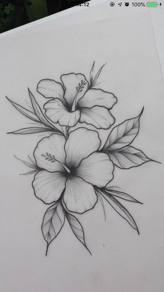 a pencil drawing of flowers on paper