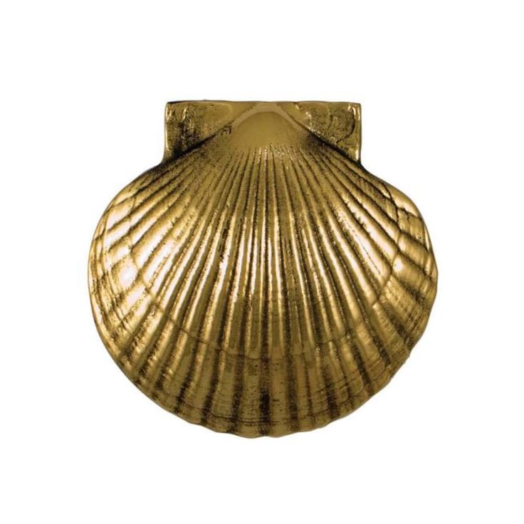 a golden shell shaped object on a white background