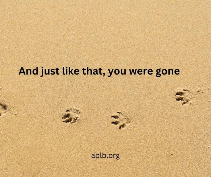 two footprints in the sand with an inspirational quote on it that says, and just like that, you're gone