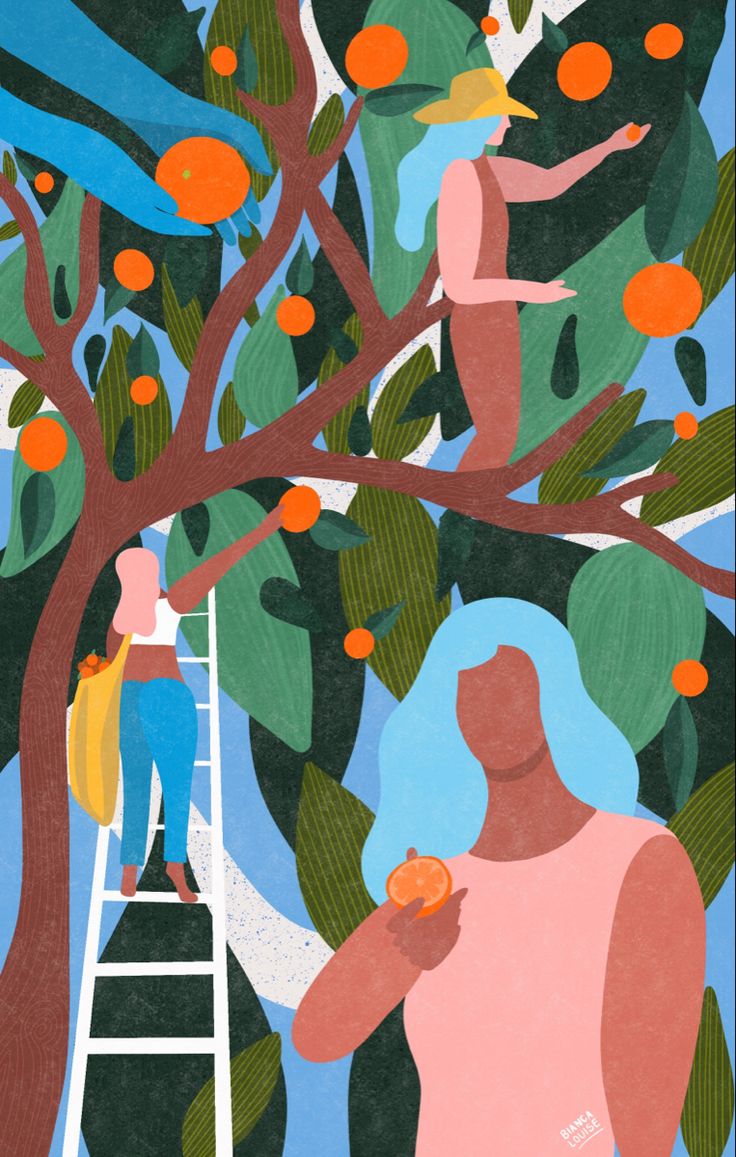 two people are picking oranges from an orange tree while another person stands on a ladder