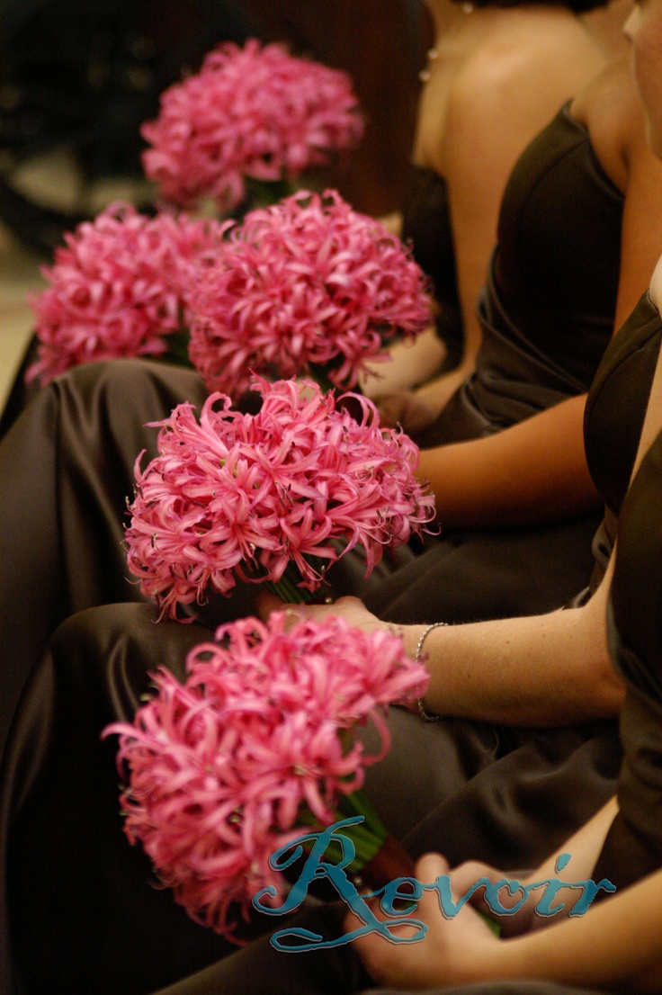 the bridesmaids are holding pink flowers in their hands