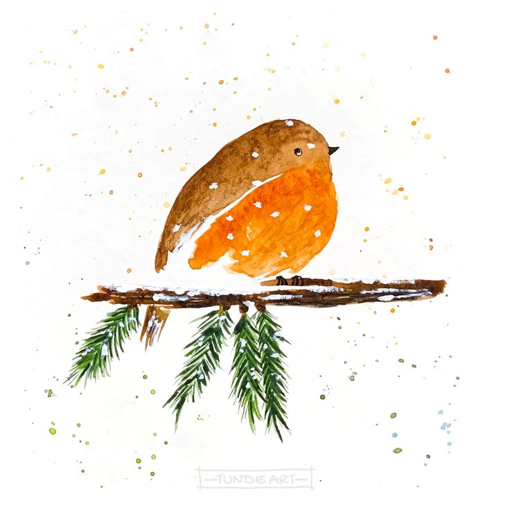 robin illustration bird for christmas Watercolour Winter, Bird Watercolor Art, Christmas Cards Drawing, Christmas Card Illustration, Ink And Watercolour, Watercolor Christmas Tree, Winter Illustration, Winter Watercolor, Christmas Card Art