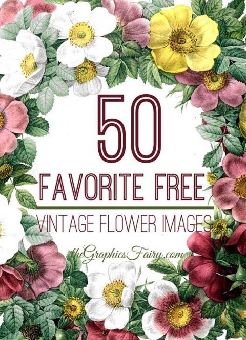 the 50 favorite free vintage flower images