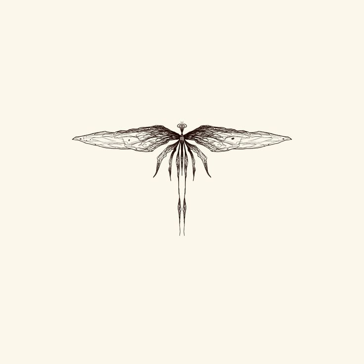 a black and white drawing of a dragonfly