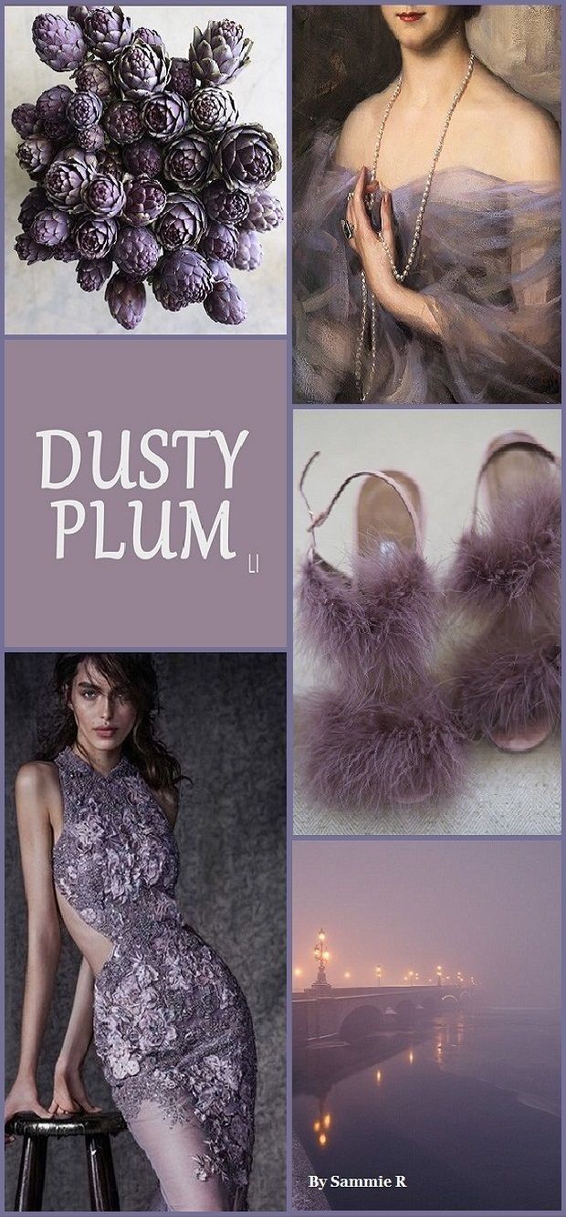 the cover of dusty plum's book, featuring pictures of women in dresses and accessories