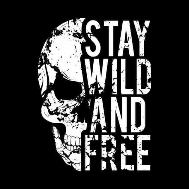 a skull with the words stay wild and free