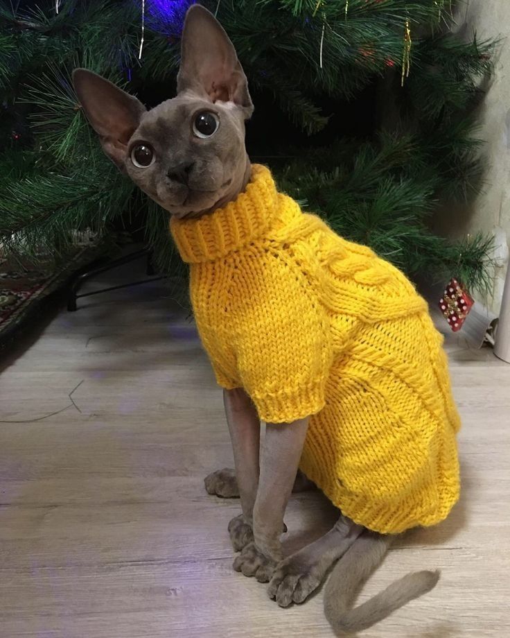 a cat wearing a yellow sweater in front of a christmas tree