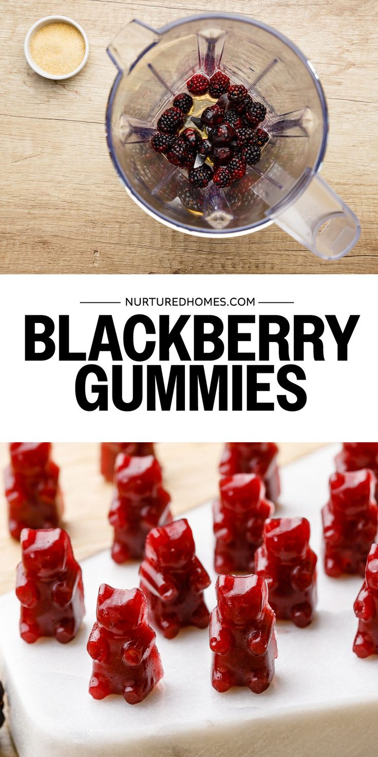 blackberries and gummy bears in a blender with text overlay that reads, blackberry gummies