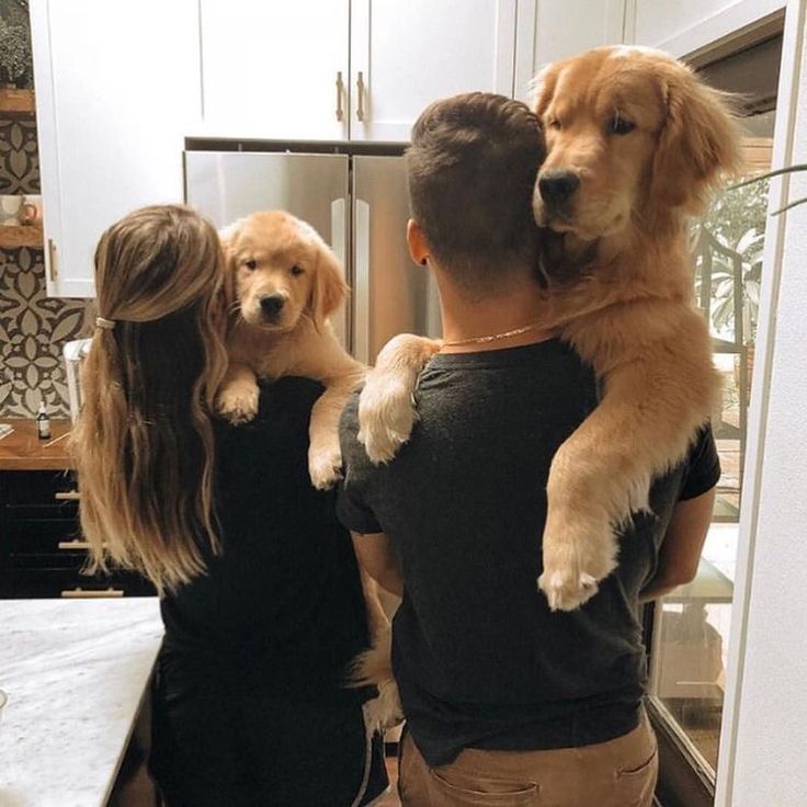 a man and woman are holding a dog in their arms while standing in the kitchen