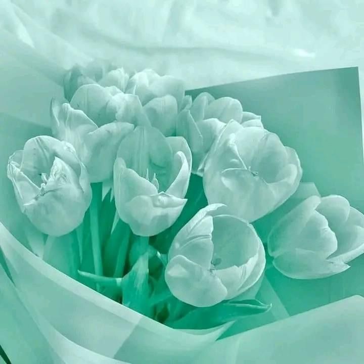 a bouquet of white tulips sitting in a vase