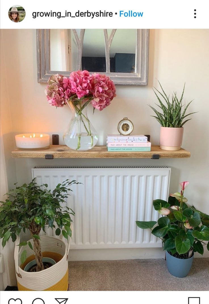 two potted plants are next to a radiator