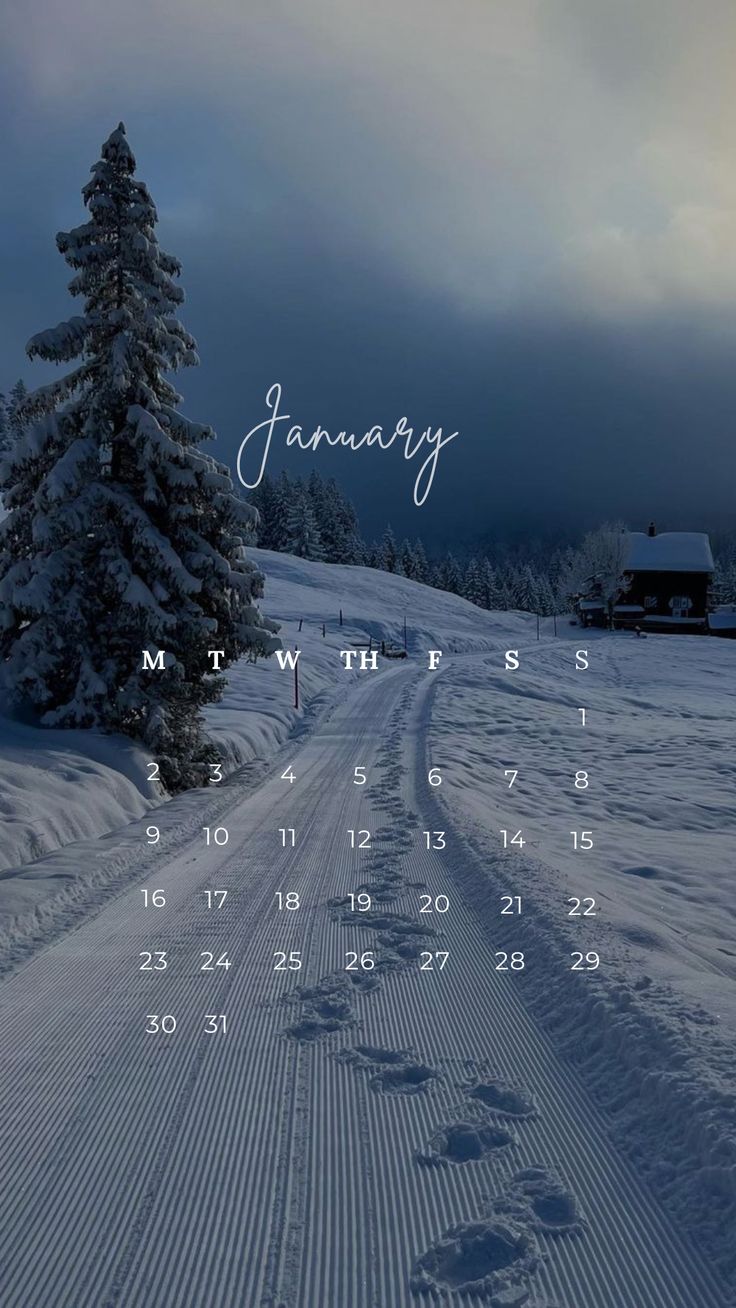 a calendar with the word january written on it in front of a snow covered field