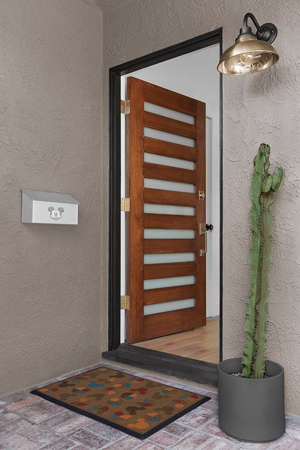 a cactus sitting on the ground in front of a door