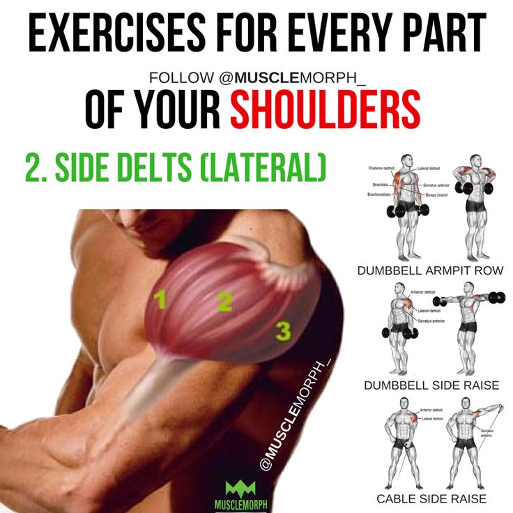 the exercises for every part of your shoulder