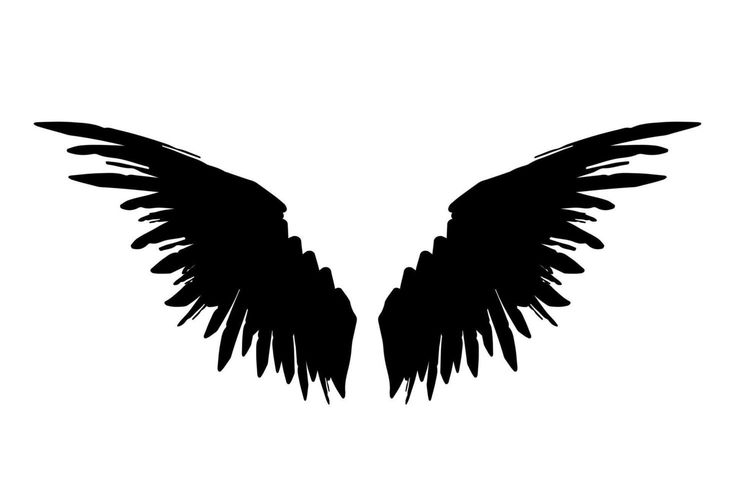 an image of black wings on a white background