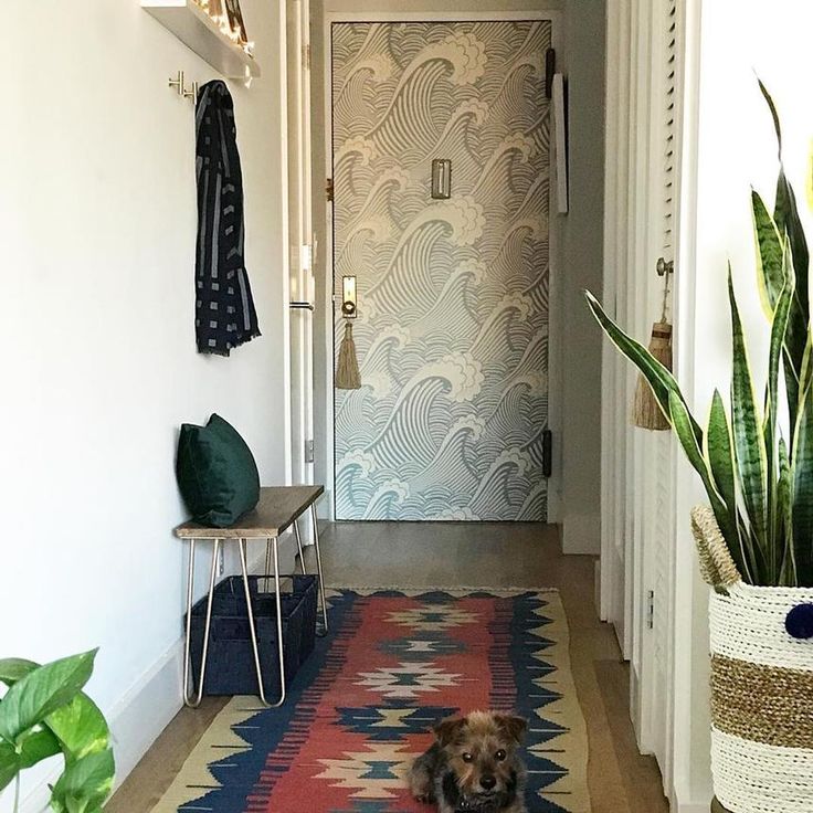 a dog is standing in the hallway next to a rug and potted houseplant