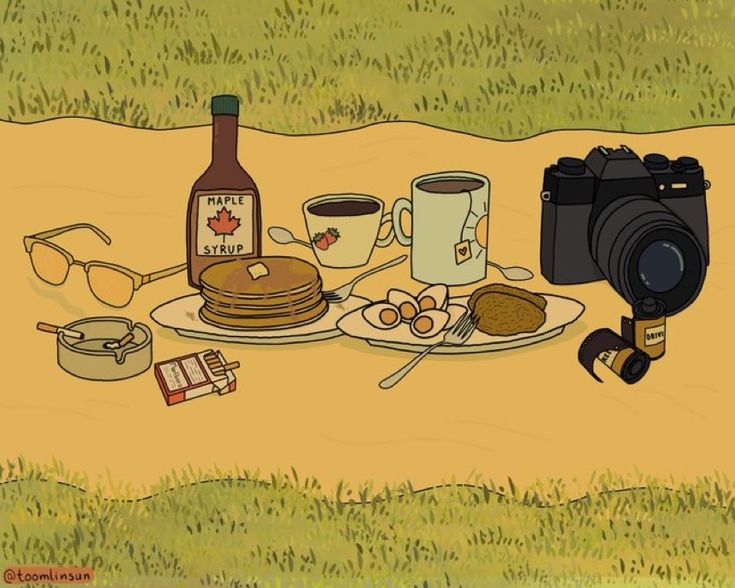 a plate with food on it next to a camera and some other items in the grass