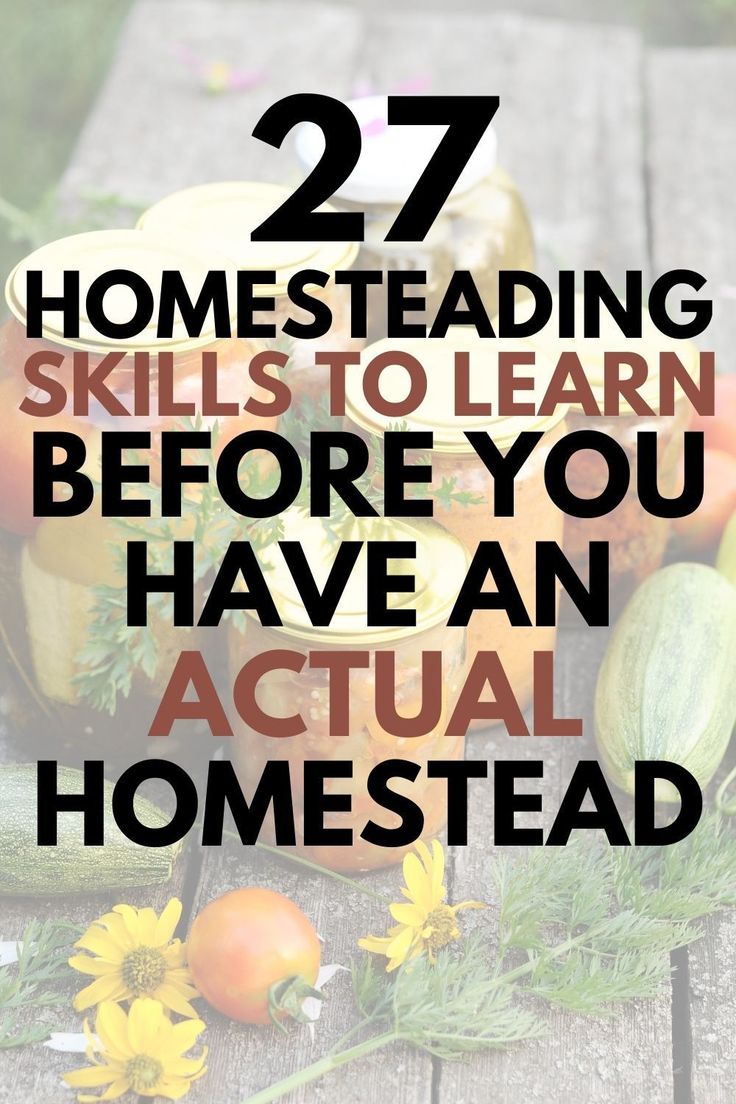 some fruits and vegetables on a wooden table with the words 27 homesteading skills to learn