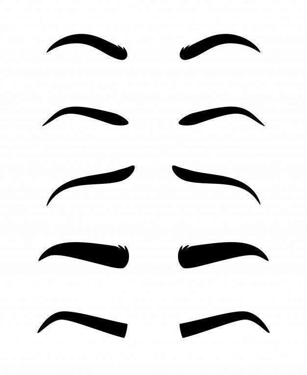 an image of different types of eyebrows on white background stock photo - 549782