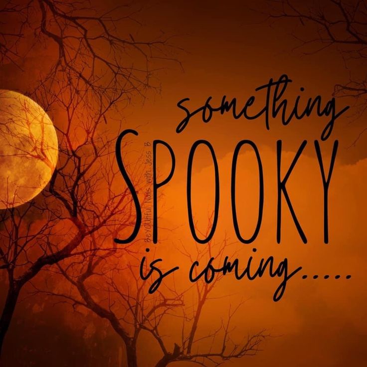 the words something spooky is going written in front of a full moon and trees