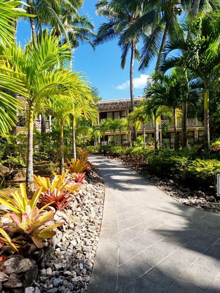 the walkway is lined with tropical plants and trees