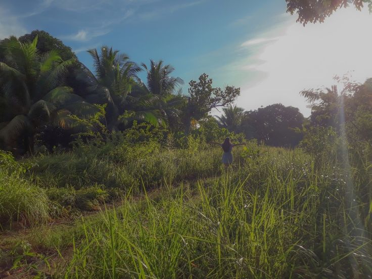 a person standing in the middle of a lush green field with palm trees behind them