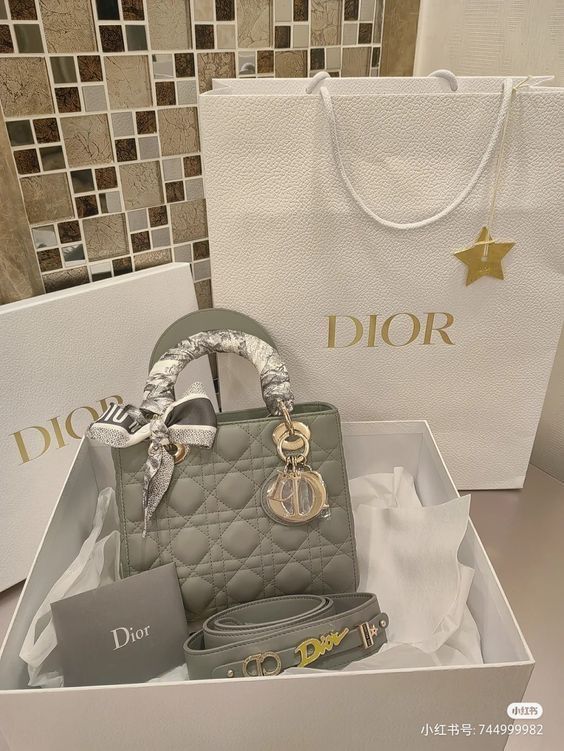 Lady Dior Handbag, Expensive Bag, Trendy Purses, Luxury Bags Collection, Girly Bags, Cute Handbags, Luxury Purses, Fancy Bags, Dior Handbags