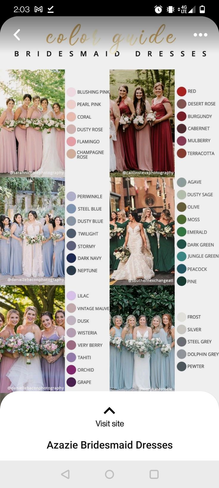 the color guide for bridesmaid dresses is shown on an iphone screen, and it shows