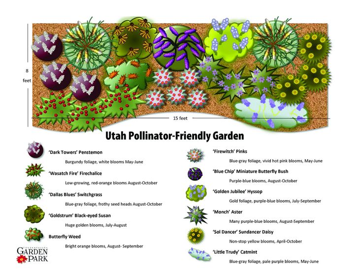 a garden plan with different plants and flowers