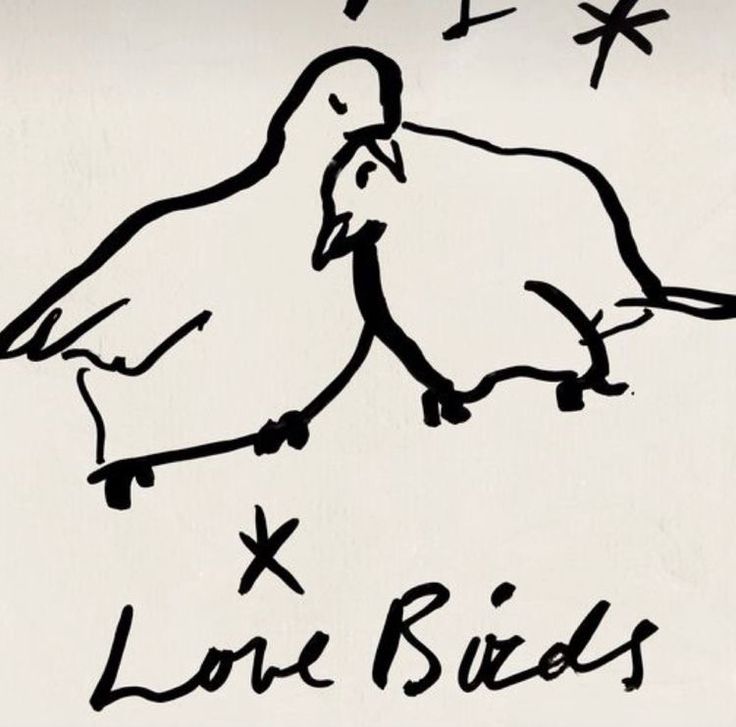 a black and white drawing of two birds with the words long sides written below them