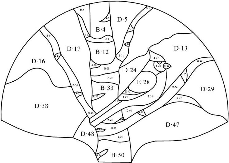 the diagram shows how many branches are connected to each other, with numbers on them