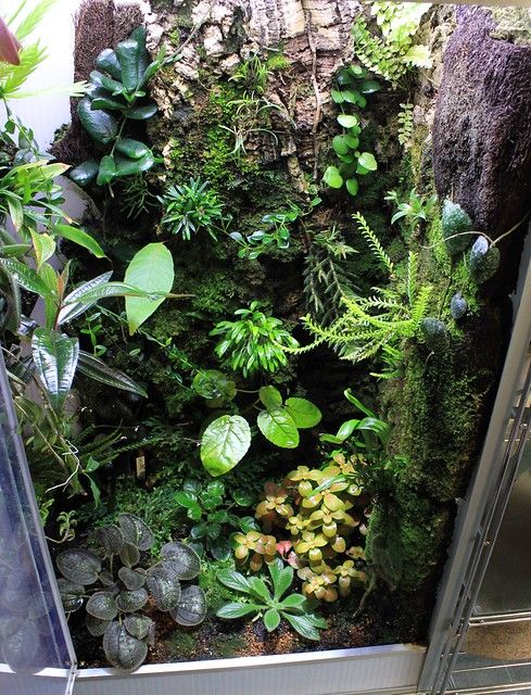 an indoor garden with plants and rocks on the side of a building, including succulents