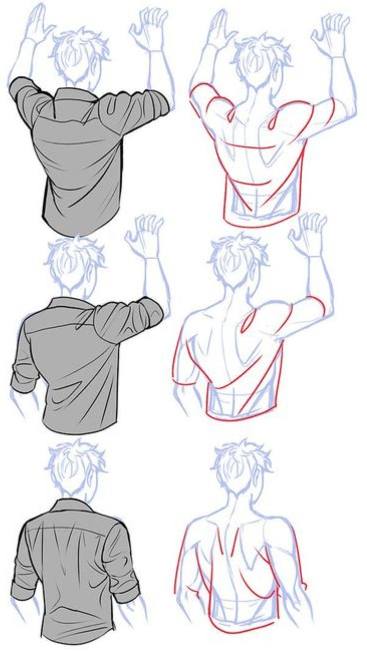 how to draw an anime character with different poses and hair styles, from the shoulders up to